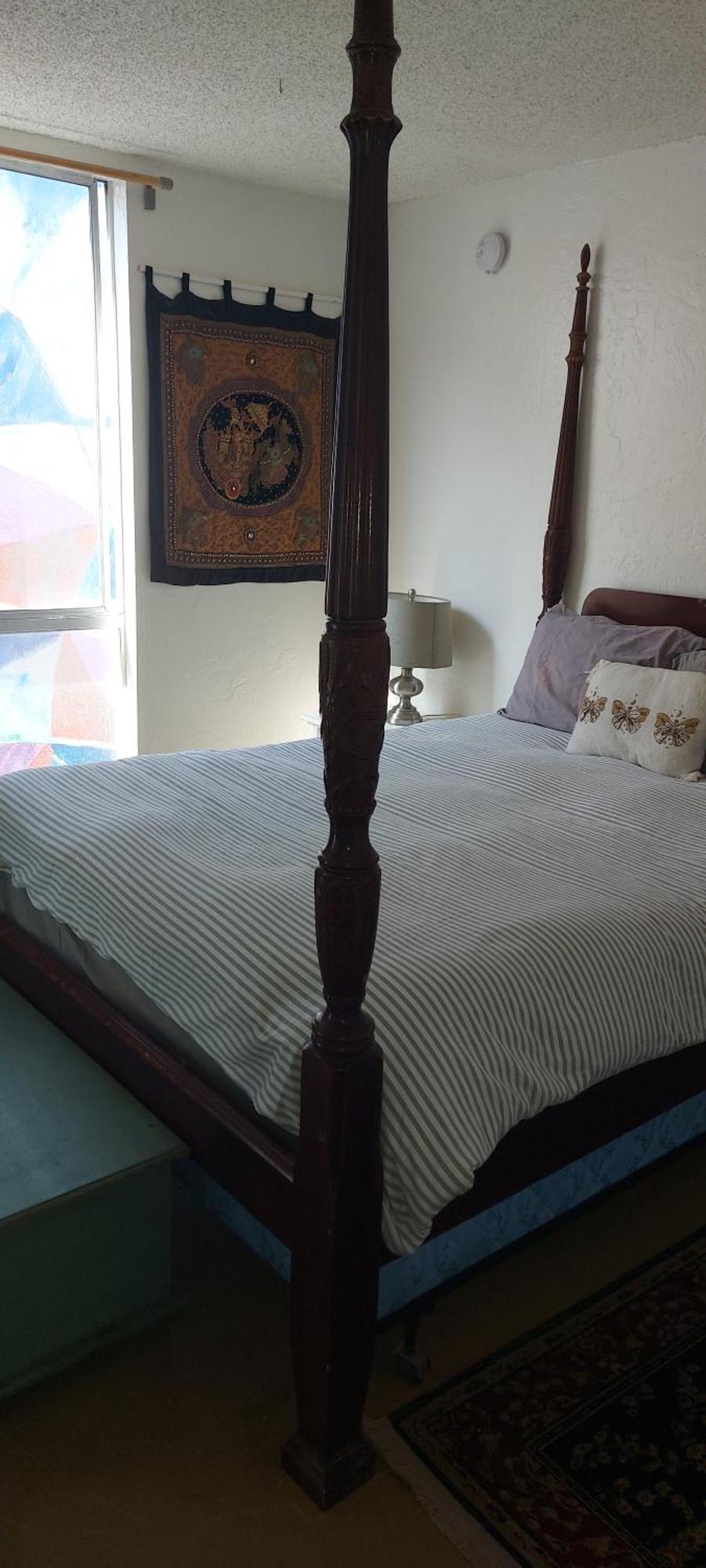 Ocean Front Vortex Female Hostel Private Rooms Free Bikes ロサンゼルス エクステリア 写真
