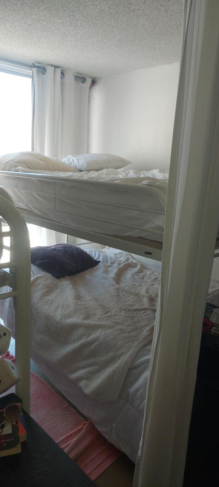 Ocean Front Vortex Female Hostel Private Rooms Free Bikes ロサンゼルス エクステリア 写真
