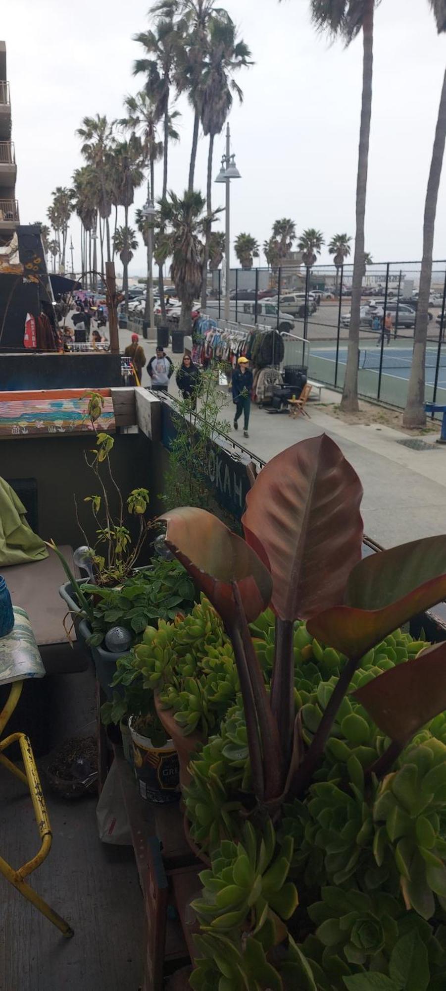 Ocean Front Vortex Female Hostel Private Rooms Free Bikes ロサンゼルス エクステリア 写真
