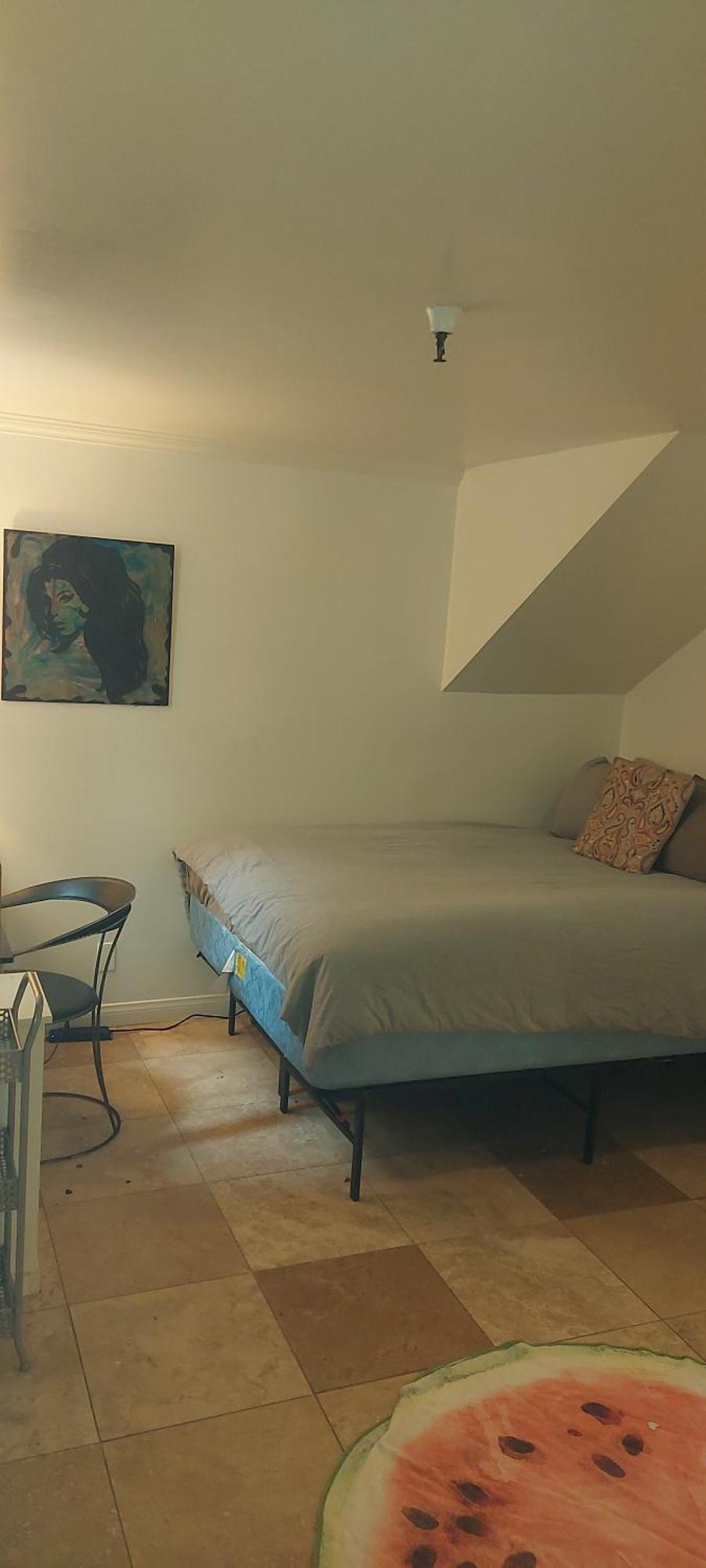 Ocean Front Vortex Female Hostel Private Rooms Free Bikes ロサンゼルス エクステリア 写真